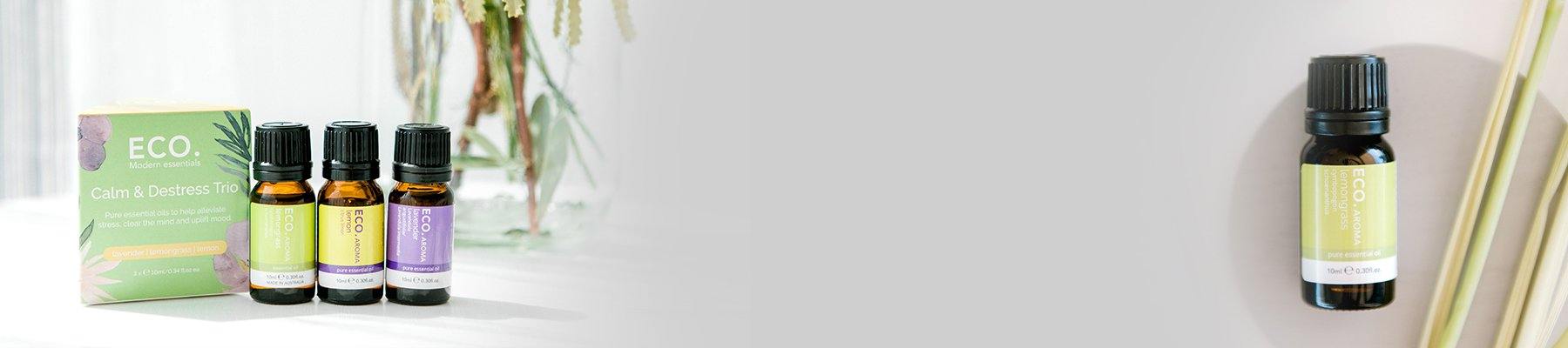 Essential Oils For Focus - ECO. Modern Essentials