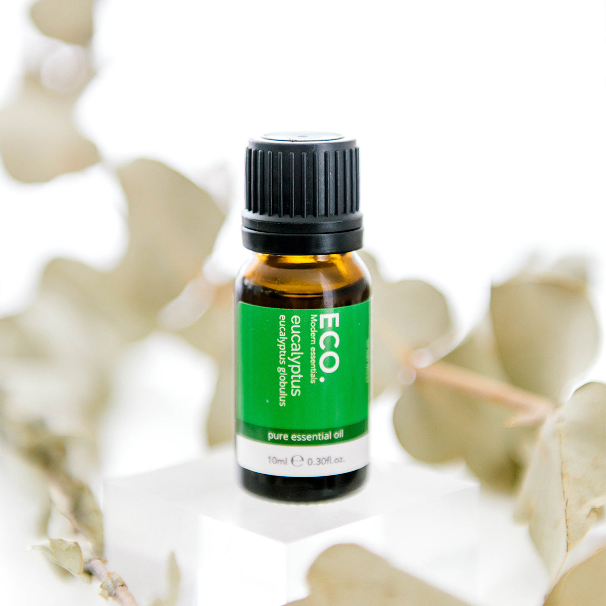 ECO. Modern Essentials