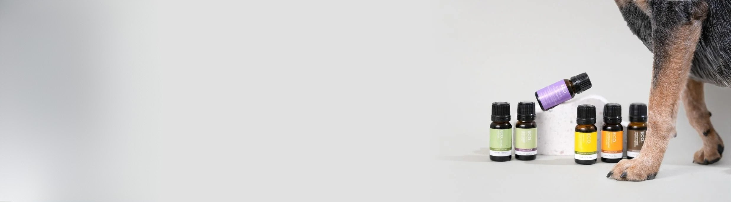 Pet Safe Essential Oils