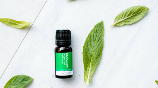 Benefits & Uses of Peppermint Essential Oil