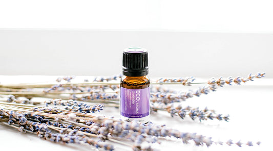 Benefits & Uses of Lavender Essential Oil