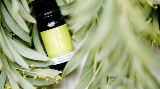 Benefits & Uses of Lemongrass Essential Oil