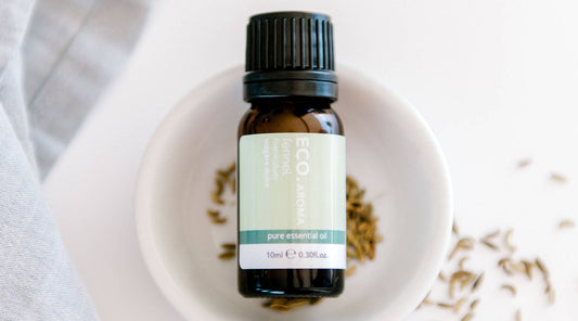 Benefits & Uses of Fennel Essential Oil