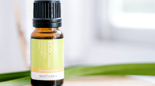 Citronella Essential Oil - ECO. Modern Essentials