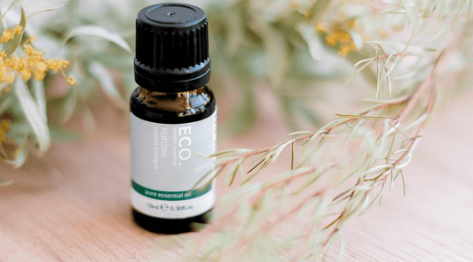 Kunzea Essential Oil - ECO. Modern Essentials
