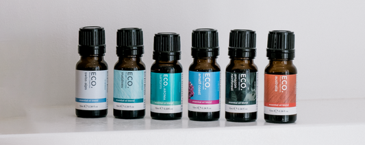 Can Scent Really Transport You? Discover the Science of Aroma & Memory