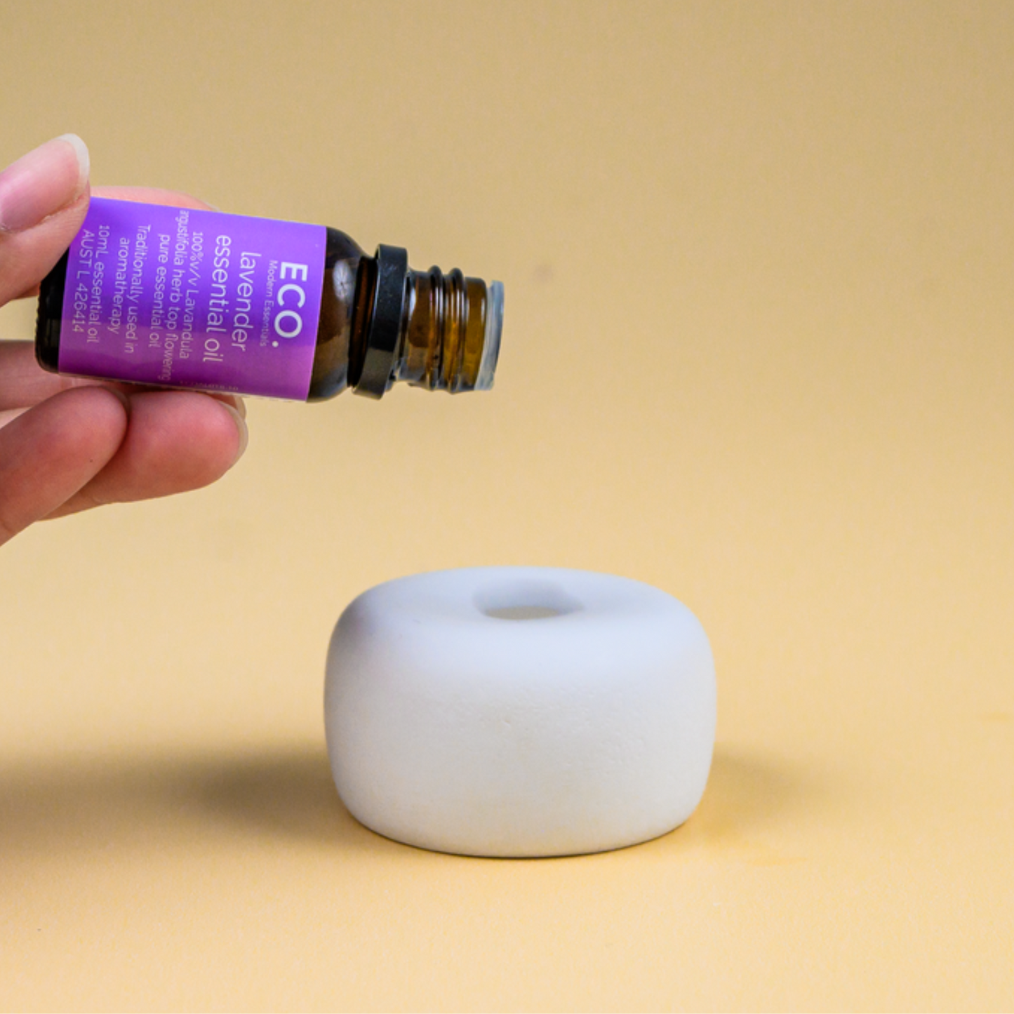 Gypsum Stone Diffuser