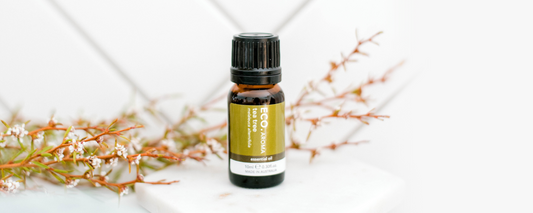 How To Support Your Immunity Naturally This Winter